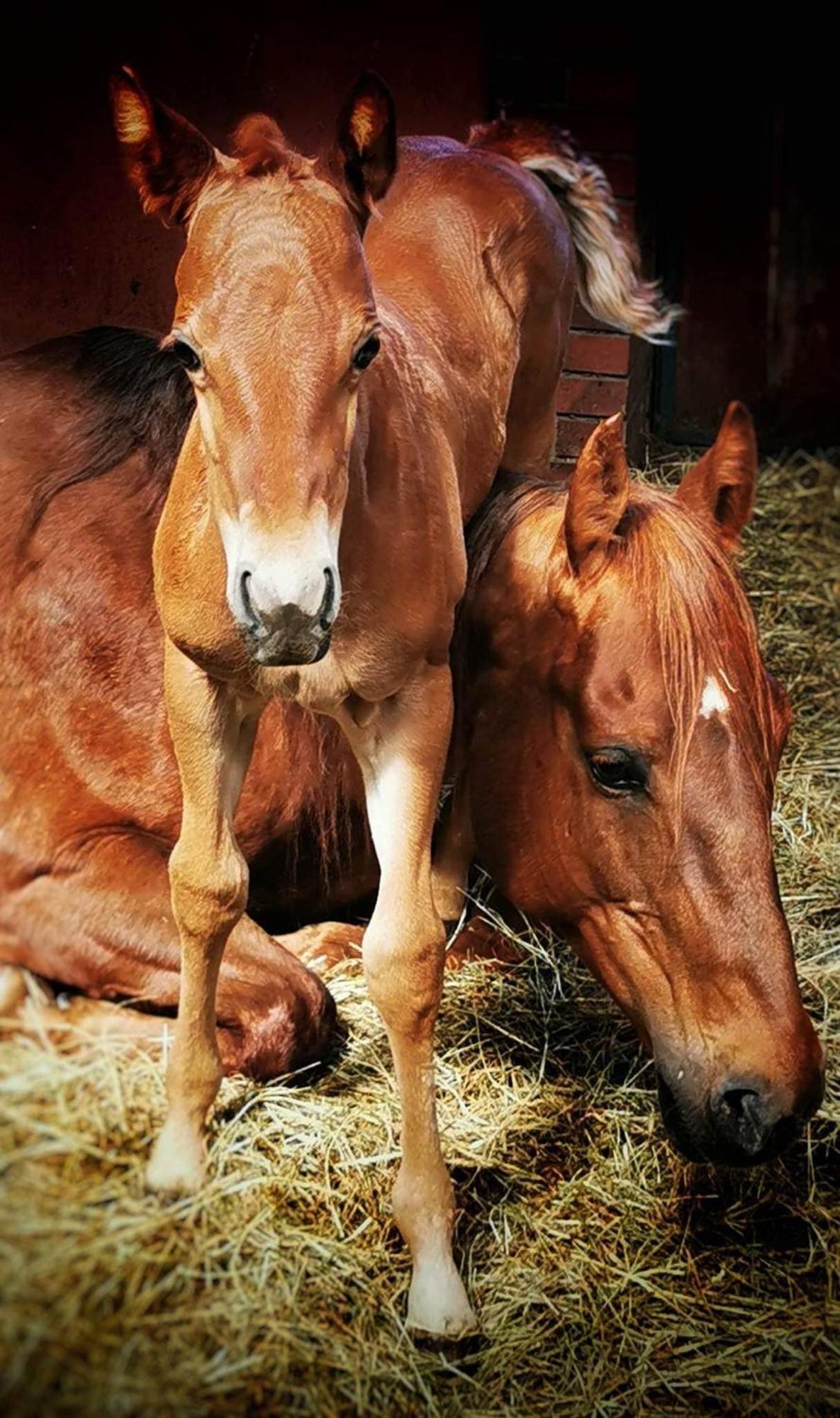 Campoverde Grabina Buitenkant foto